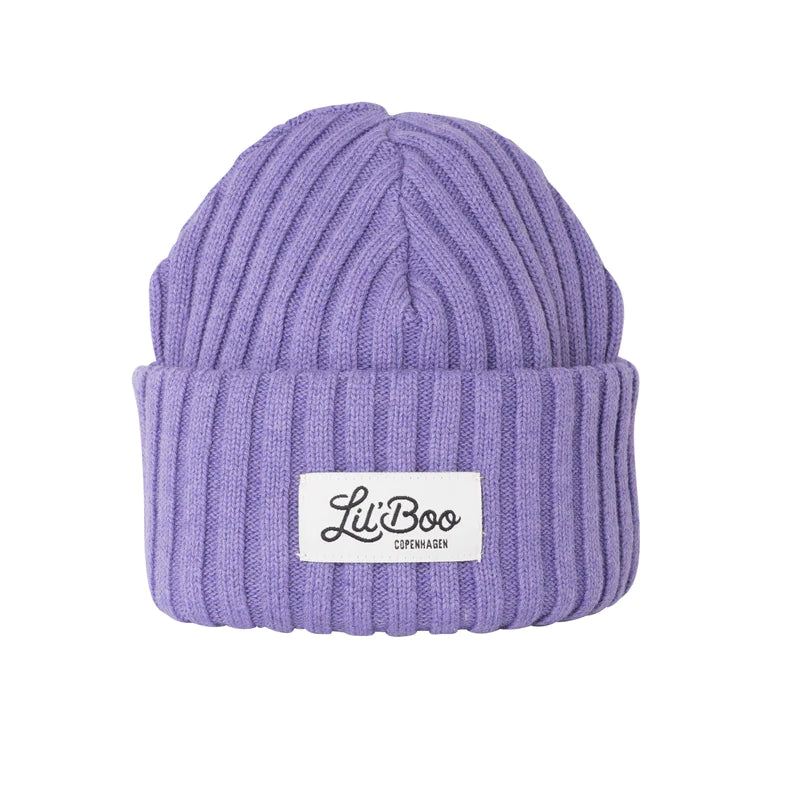 Outdoorsy Beanie - PURPLE