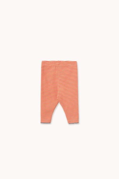 Stripes Rib Baby Pant – summer red