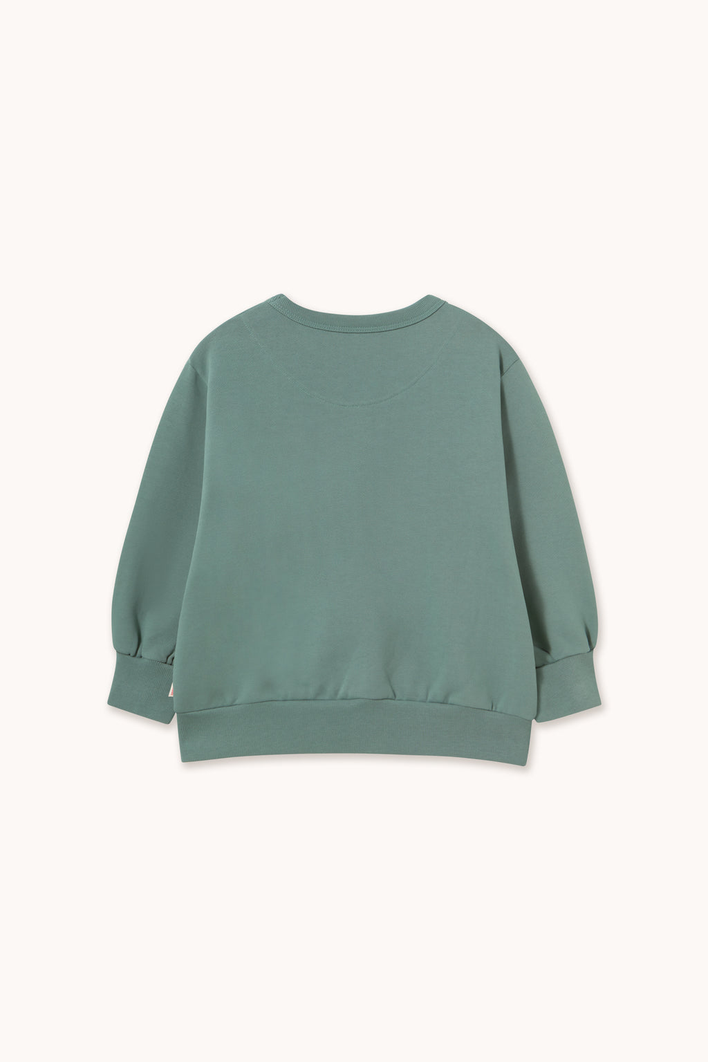 Two Dogs Graphic Sweatshirt – teal