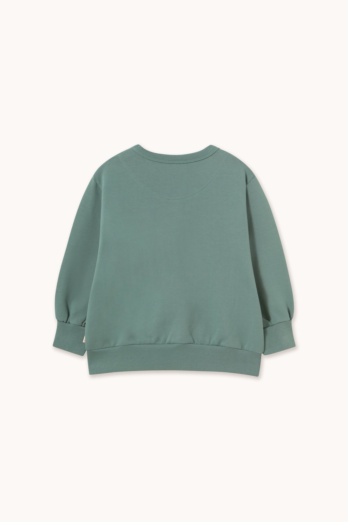 Two Dogs Graphic Sweatshirt – teal