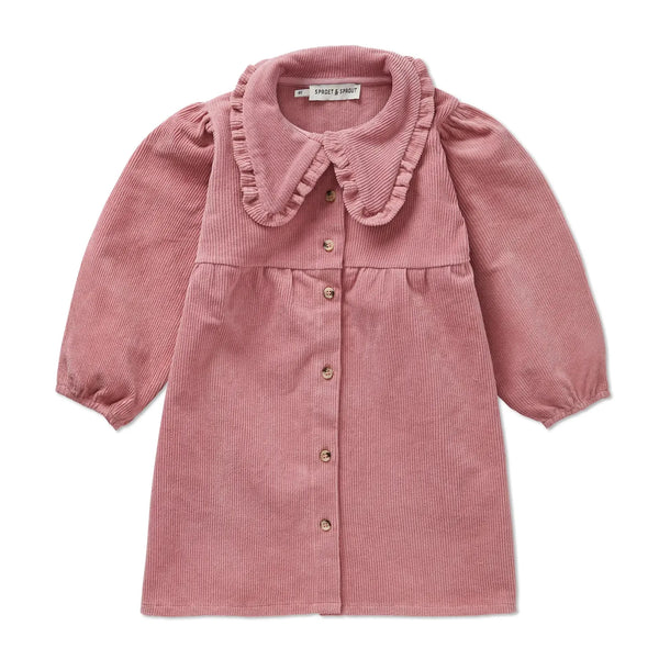 Corduroy Dress Collar – painters blush