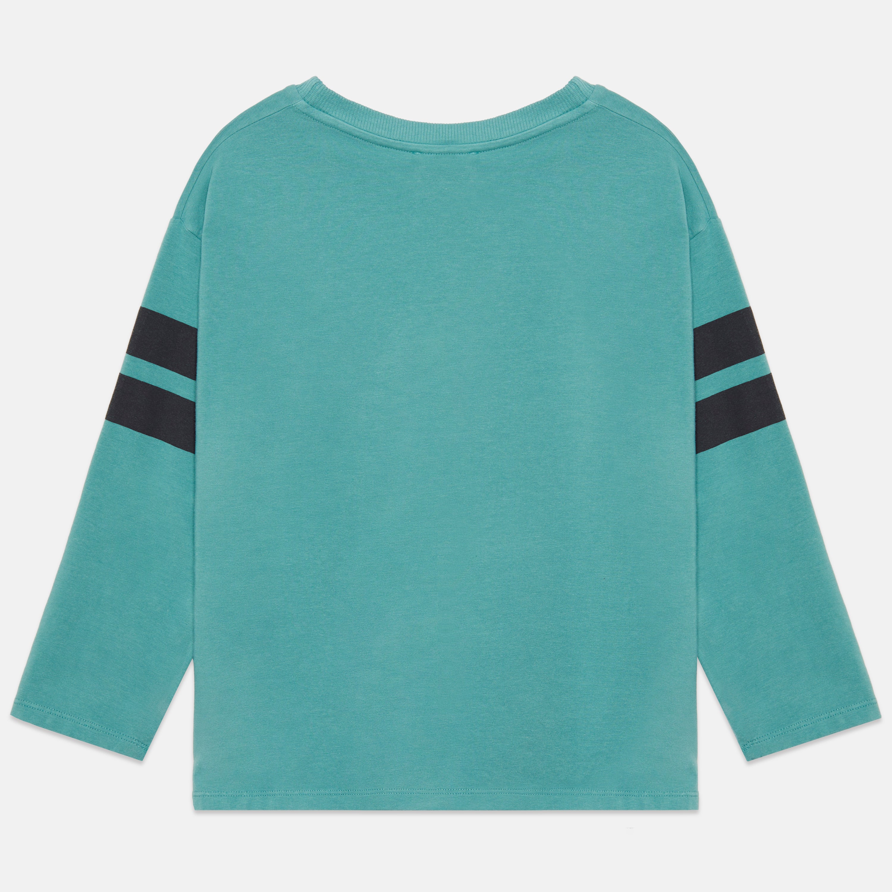 City Dog Longsleeve T-Shirt – turquoise