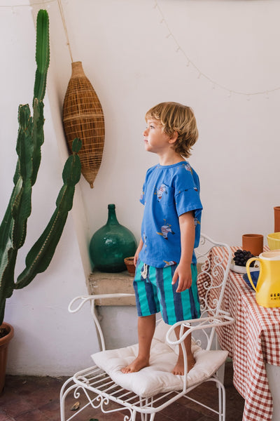 Stripes Denim Shorts – denim & mint