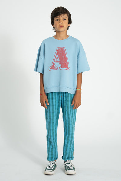 Unisex Trousers – blue and green checkered