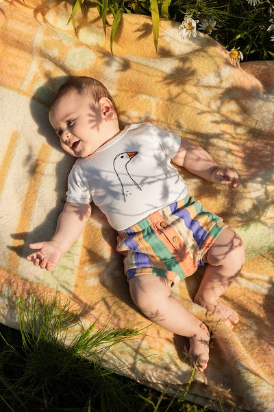 Rib Baby Shorts Stripes