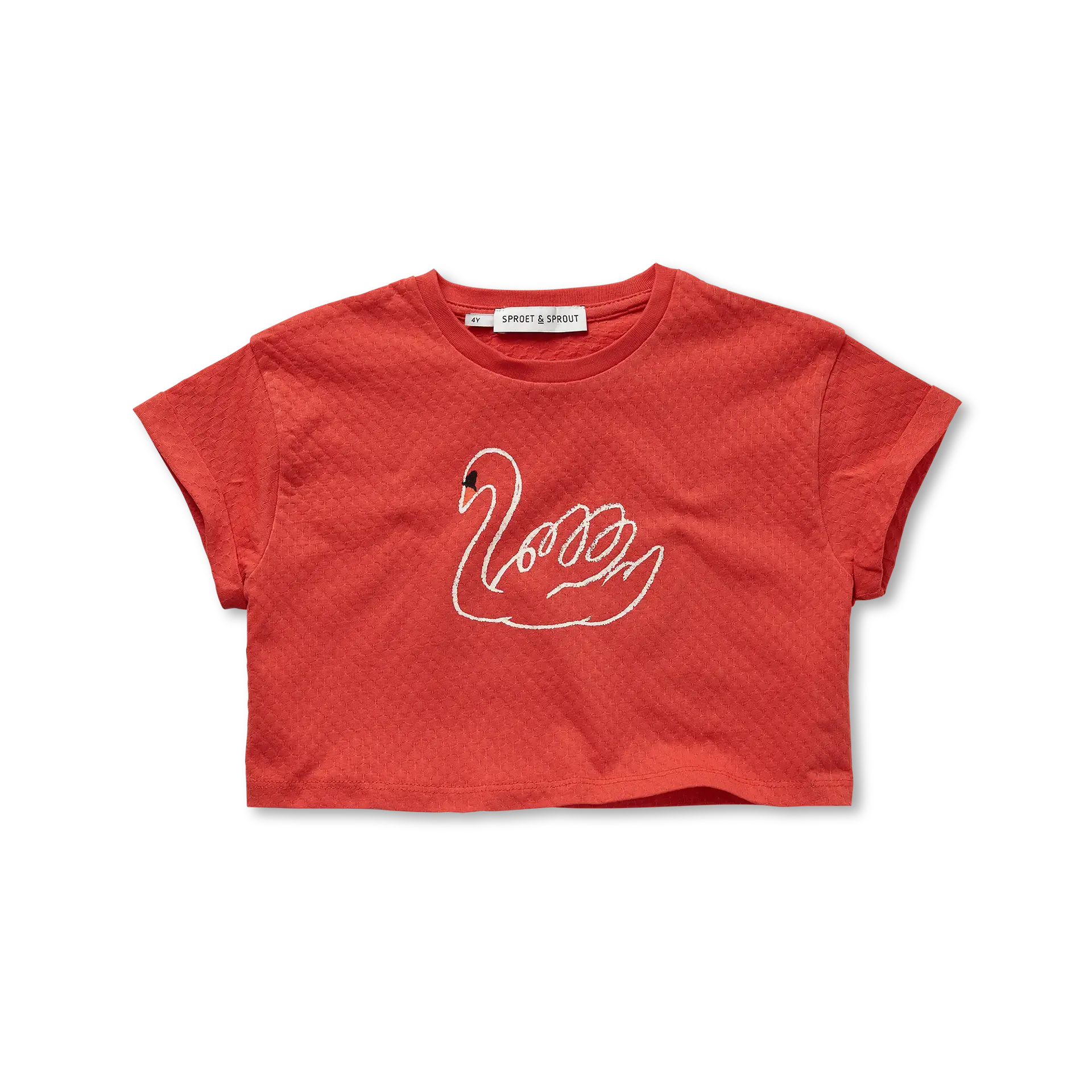 Boxy T-Shirt Swan – fiesta