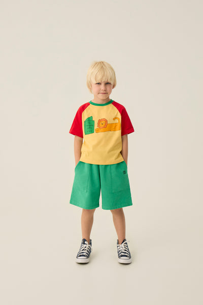 Reading Lion T-Shirt