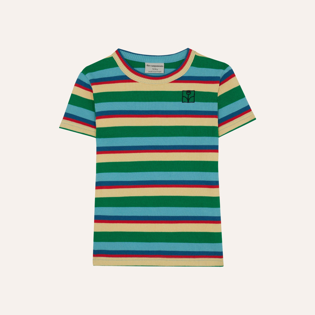 Multicolor Striped T-Shirt