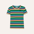 Multicolor Striped T-Shirt