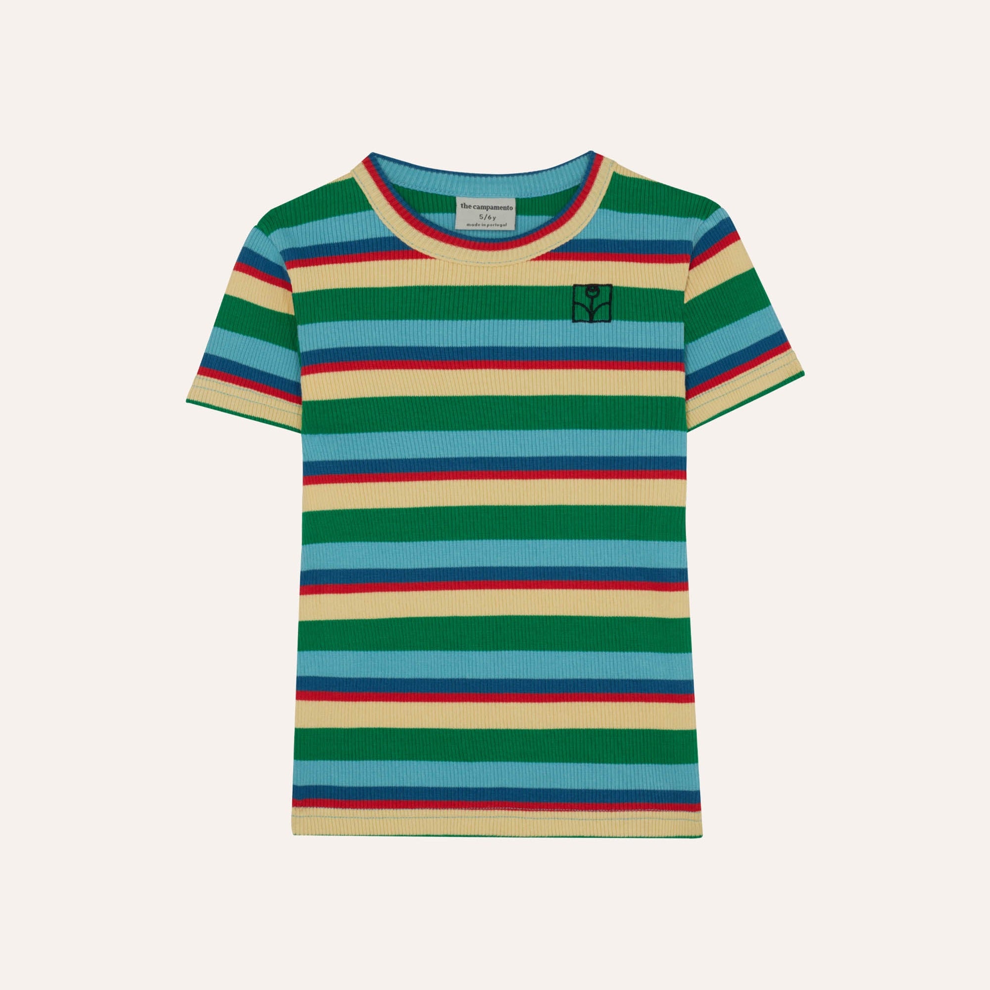 Multicolor Striped T-Shirt