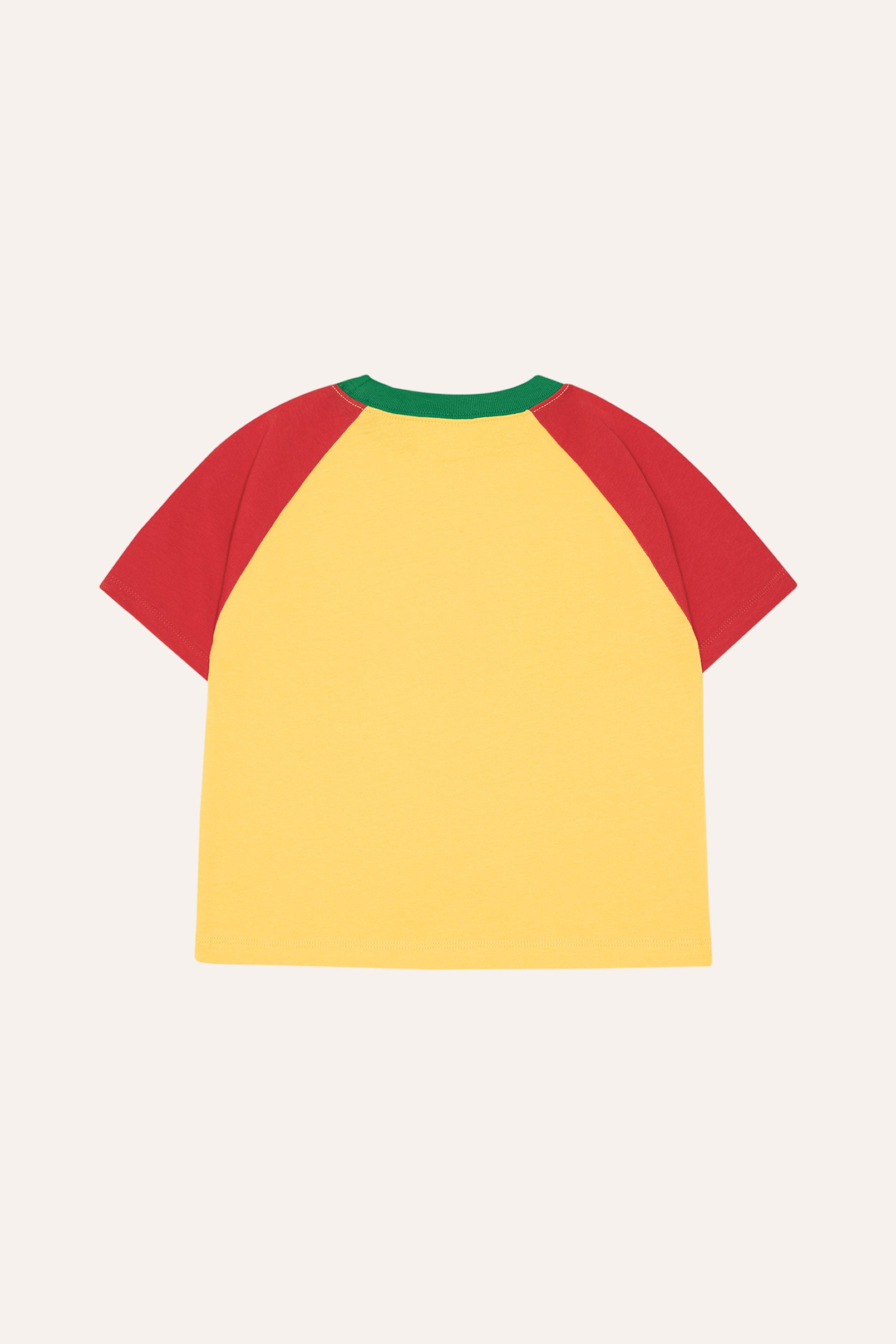 Reading Lion T-Shirt